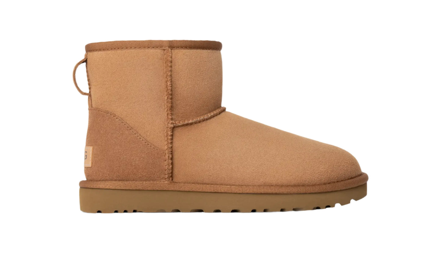 Women's Uggs Boot " Chestnut "
